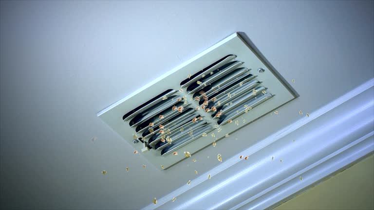 Best Residential Air Duct Cleaning  in Newcastle, WA